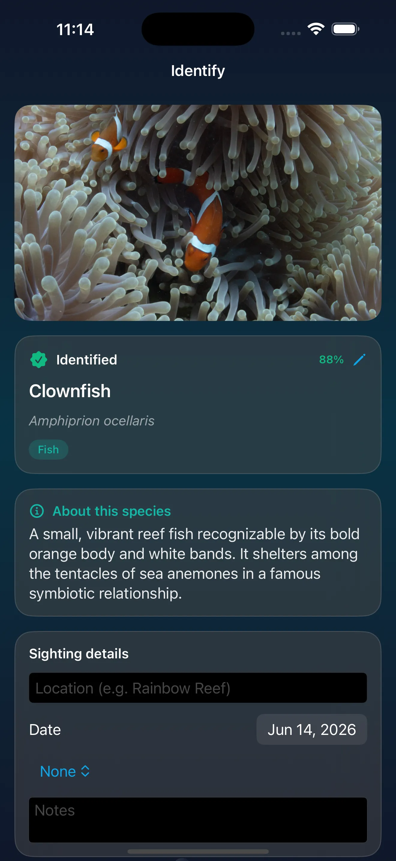 AquaLog clownfish identification interface
