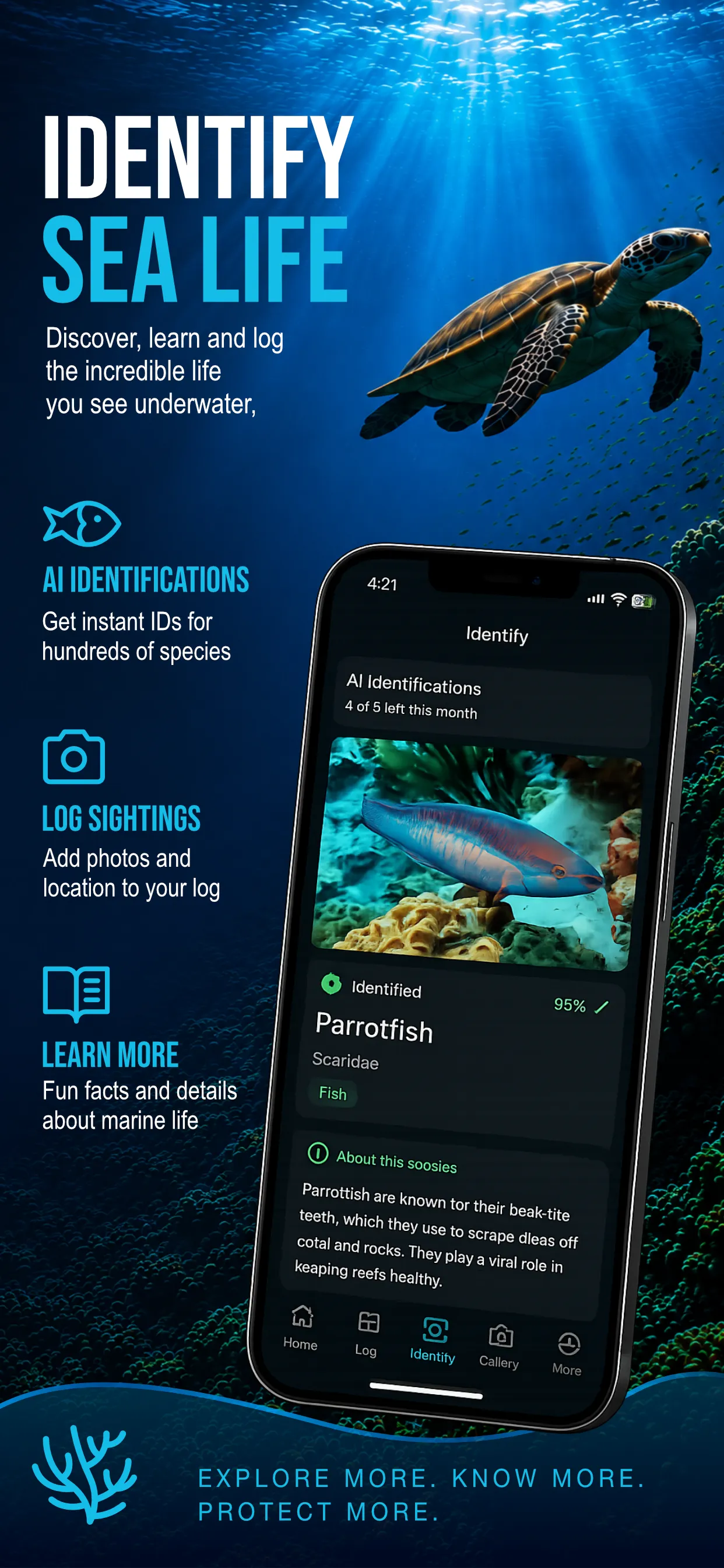 Original AquaLog sea-life promotional artwork