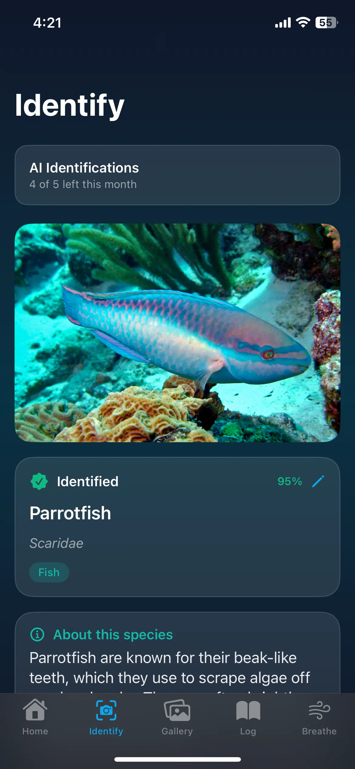 AquaLog identification screen showing a parrotfish image, species information, and navigation.